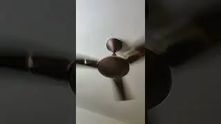 Ceiling Fan 😭 #shorts #fansound #viralvideo #shortsvideo #fan