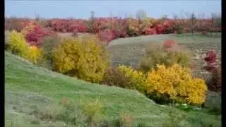 Осень