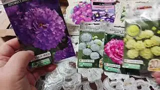 SEEDS AND A GIFT AGAIN