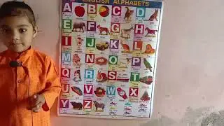a for Apple b for ball c for cat d for dog a for adley a se z tak abcd alfabets
