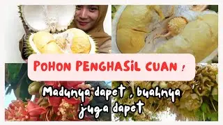 Ayo Menanam Pohon Durian