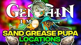 All SAND GREASE PUPA LOCATION - ALHAITHAM - GENSHIN IMPACT