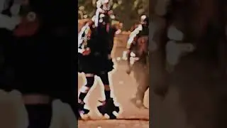 Bird-dancer | African dance.