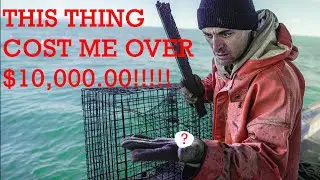 This cost me OVER $10,000 dollars!!