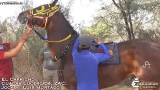 LLEGADA DE INFARTO💔📸. Campesino 🆚 Capricho. Carril San Angel, JAL.