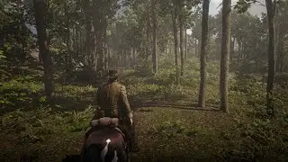 Red Dead Redemption 2 ➤ Realistic HDR Graphics Preset MOD