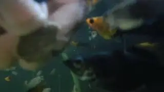 under water