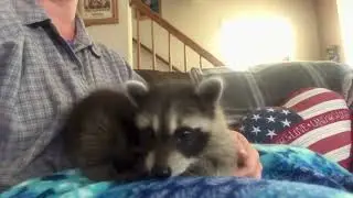 I hope you’re having a great day!
