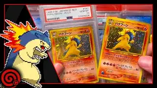 Vintage Neo Genesis Holo Cards 🔥 Holo Gen 2 Starters & More! 