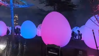 CREATIVE WORK MAGIC EGGS || HONGKONG