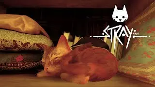 МАЛЕНЬКИЙ АУТСАЙДЕР | Stray #4