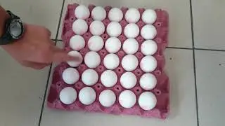 Yumurtalar kırıldı mı?