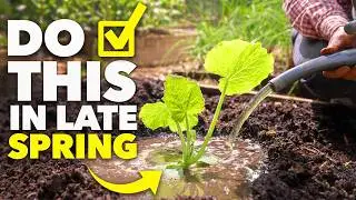 Time to Act: Essential Tasks That Will Supercharge Your Garden!