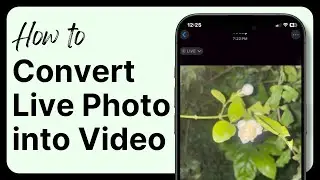 How to Convert a Live Photo into a Video on iPhone (2025)