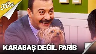 Kemal, Paris'i Ziverbey'e sattı! - Yahşi Cazibe 26. Bölüm