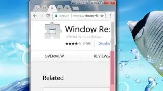 Window Resizer (Developer Tool)