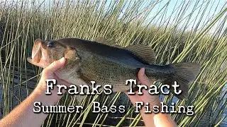 Franks Tract Summer Time Kayak Bass Fishing