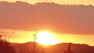 Романс собственного сочинения. Стихи и музыка мои. Первый куплет.