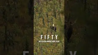 DIY Alaska Moose Hunting! #eastmeetswesthunt