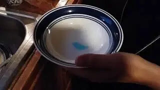 home remedy fly killer