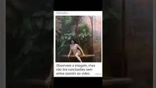15 de abril de 2020