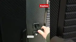 Дверь Лайнер-3 Карбон