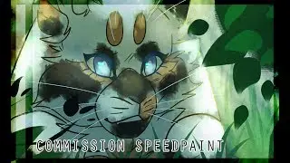 [commission speedpaint] curiosity killed the cat