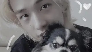 happy kkami day!