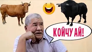 TOKTOR EVERYTHING IS RELAXED //NEW COMEDIES//COMEDIES 2021