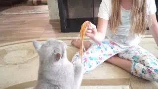 Ральф и листья драцены