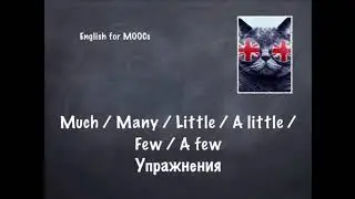 Английский язык. Much/Many/Few/Little- Упражнения