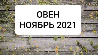 ОВЕН. НОЯБРЬ 2021 г.