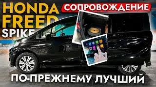 ПРИВЕЗЛИ HONDA FREED SPIKE❗️ ОБСЛУЖИВАНИЕ САМОГО НАРОДНОГО МИНИВЭНА❗️ ЦЕНЫ МАЙ 2025