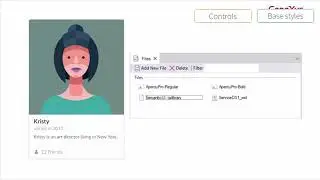 User Control Object