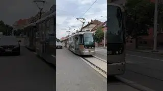 PILSEN | City tram 🚊 near Borský park - 4K #trams