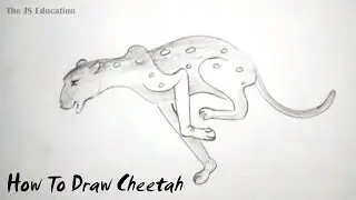 How To Draw Cheetah Running - Step by Step - The JS Education