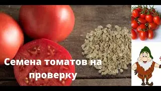 СЕМЕНА ТОМАТОВ НА ПРОРАЩИВАНИЕ РЕАНИМАЦИЯ СТАРЫХ СОРТОВ ТОМАТОВ