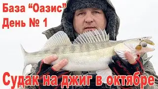 Ловля судака на джиг в октябре. Рыболовная база 
