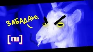 ЗУБЫ НА КОВЁР (ПОСЛЫШАЛОСЬ)