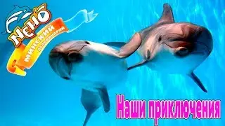 Дельфинарий Немо Минск Влог Какие приключения нас ждали