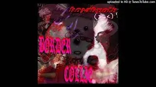 KOZAKPOLV - BORDER COLLIE (prod. DXNIEK)
