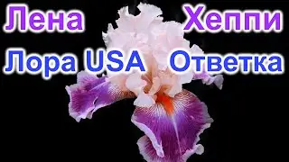Лена Хеппи День Рождения. Лора USA Ответка