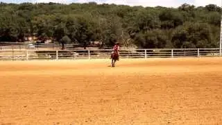 Alonim reining Dana Schiller 72 points -1st place riding Professor Hollywood - august 2 2013