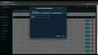 How to use multi subtitle translator