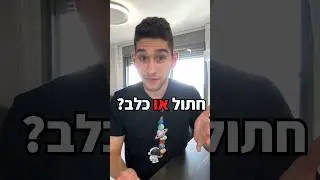 המוצר המושלם לחיית המחמד שלכם! 