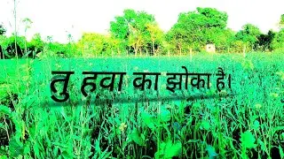 shayri