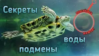 Красноухие черепахи секреты подмены воды. Как подменивать воду