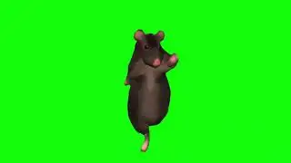 Rat Dancing Meme Trend Green Screen 1 Hour Loop