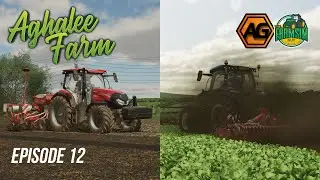 Finishing off the Planting - Aghalee Farms with @ArgsyGaming - Episode 12