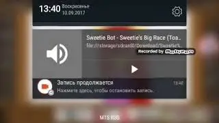 Гонки с сёстрами